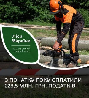 Показники з поповнення бюджету від  ДП «Ліси України» невпинно зростають